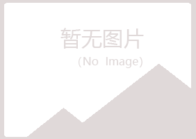 合山夏彤咨询有限公司